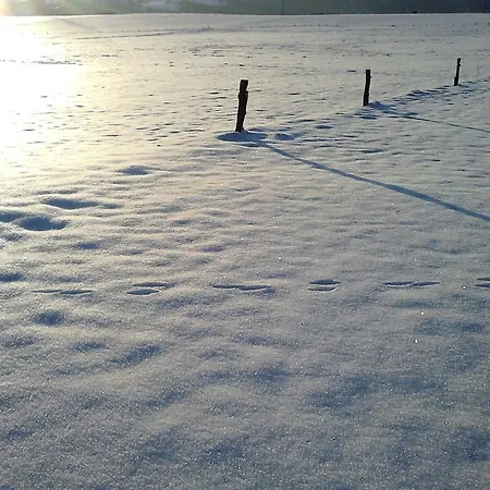 The Roots Дом отдыха *