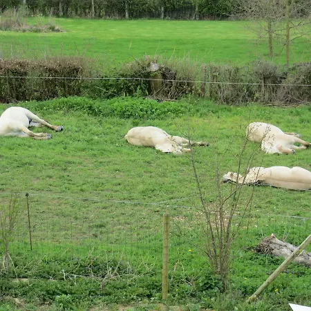 The Roots Feriehus *