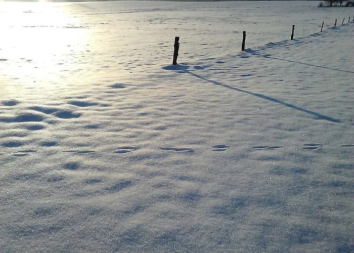 The Roots Holiday home *