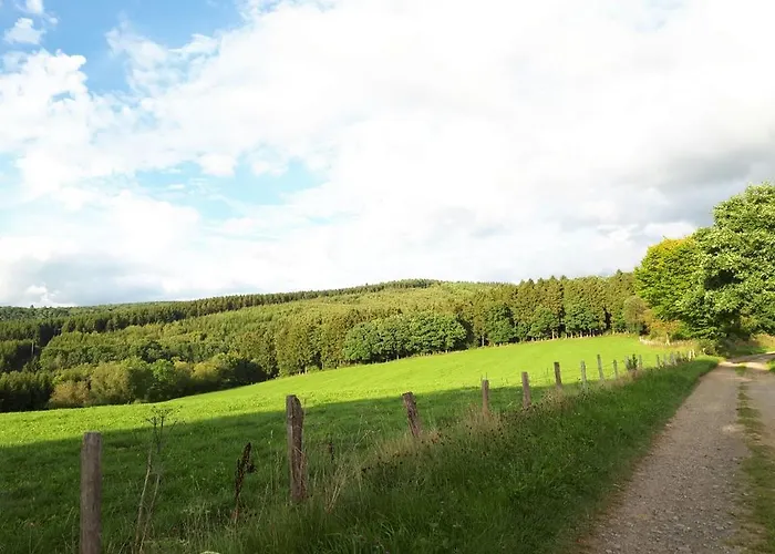 The Roots Vakantiehuis *