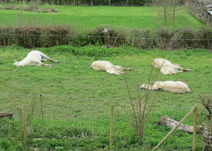 The Roots Holiday home *